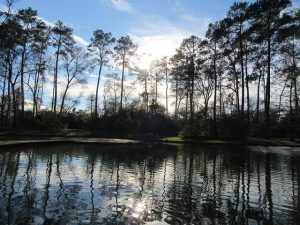 4 Hikes Outside of Houston - Russell