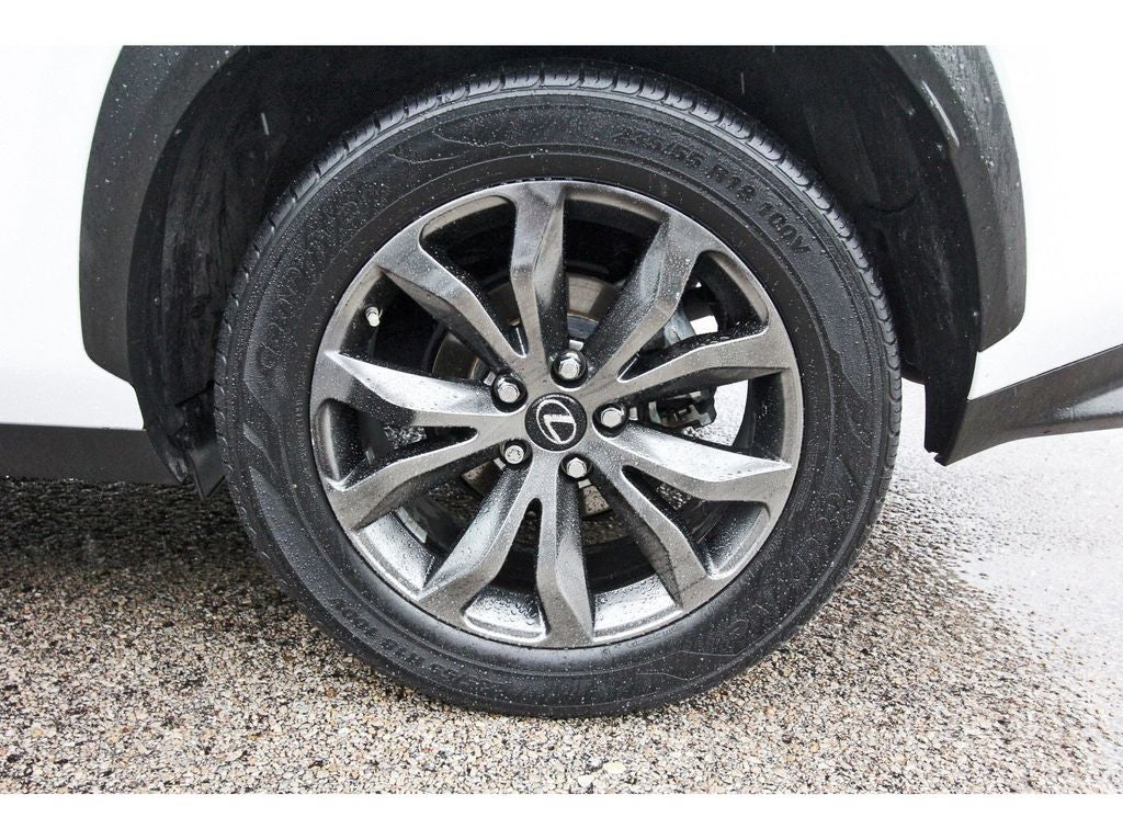 2020 Lexus NX 300 F Sport
